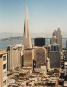 Transamerica Pyramid