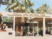 Joshua Tree Eingang