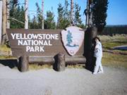 Yellowstone Nationalpark