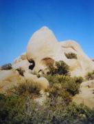 Sch&auml;delfelsen im Joshua Tree