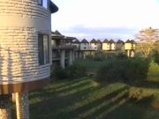 Salt Lick Lodge auf Pf&auml;hlen