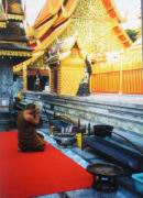 Sehr sch&ouml;ne Anlage