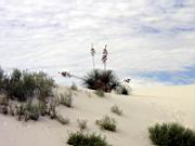 ...soweit das Auge reicht